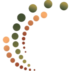 Proapoptotic Effect on Normal and Tumor Intestinal Cells of Cytostatic Drugs with Enterohepatic Organotropism