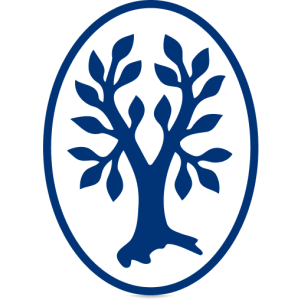 Asymmetric Heck-type Hydroarylation of Norbornene with Phenyl Triflate Catalyzed by Palladium Complexes of Chiral (β-N-Sulfonylaminoalkyl)phosphines1