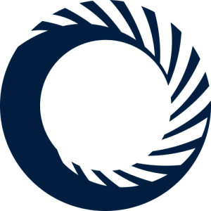 Vanadium-Catalyzed Cross-Coupling Reactions of Alkyl Halides with Aryl Grignard Reagents